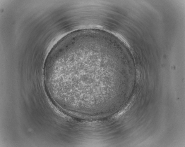 X0000072970895200608111713