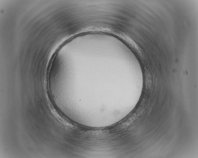 X0000072970896200608111713