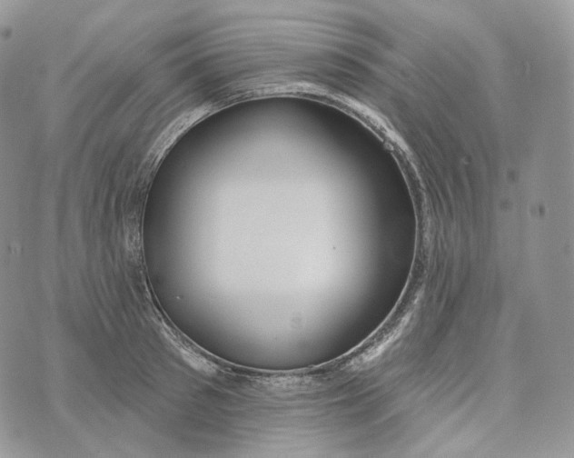 X0000072970897200608111713