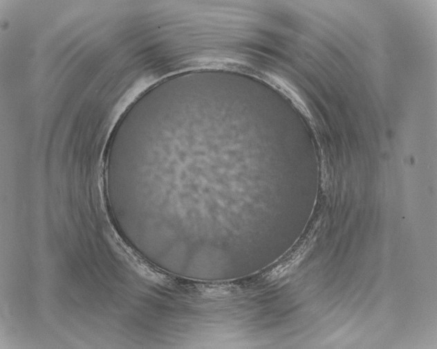 X0000072970899200608111713