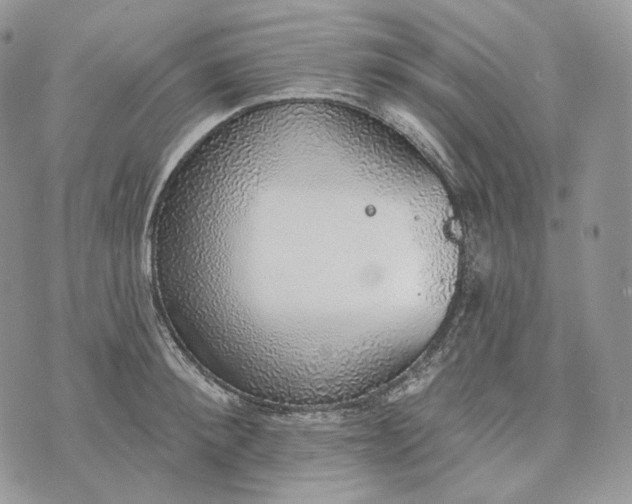 X0000072970900200608111713