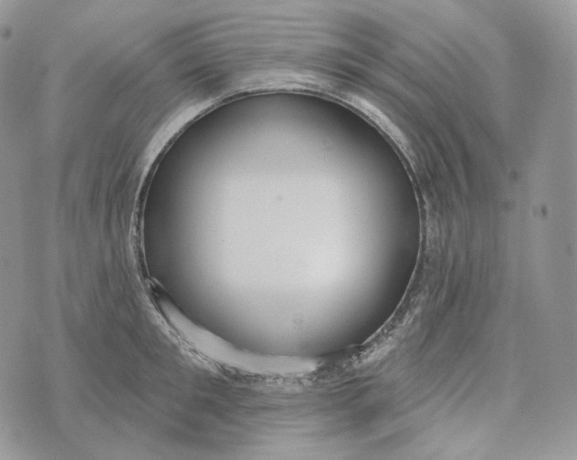 X0000072970901200608111713