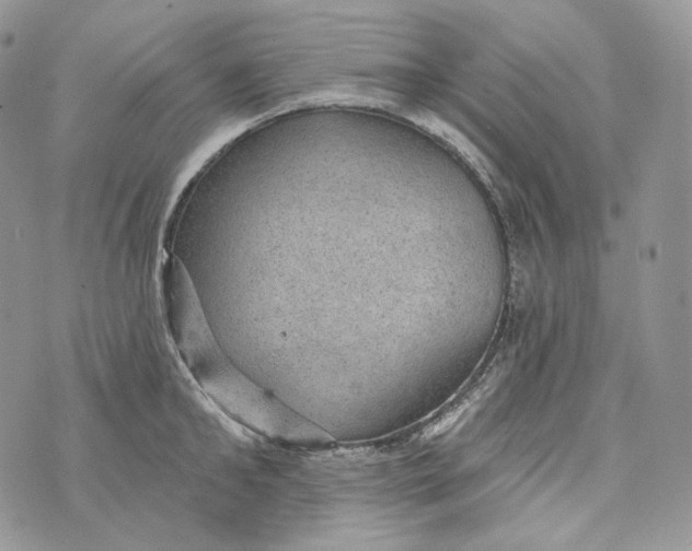 X0000072970902200608111713