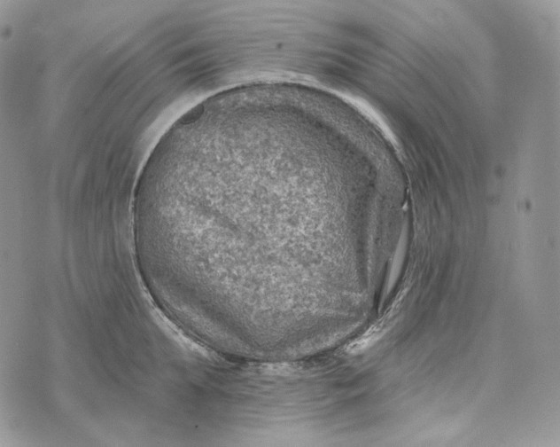 X0000072970903200608111713