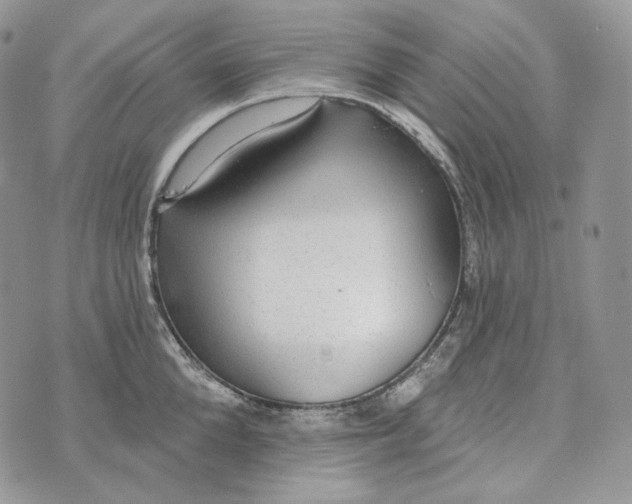 X0000072970904200608111713