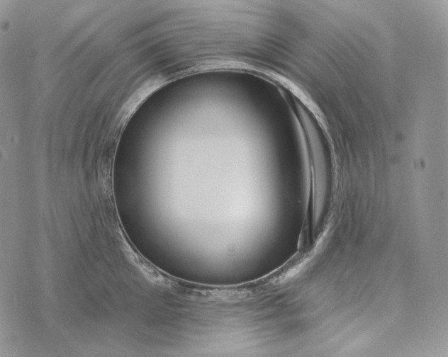 X0000072970905200608111713