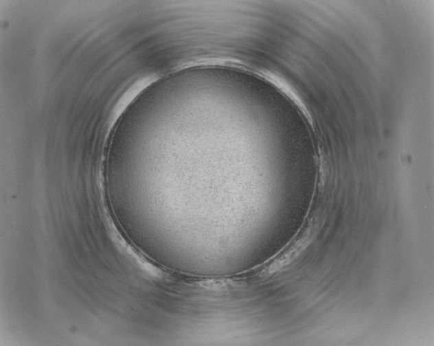 X0000072970906200608111713