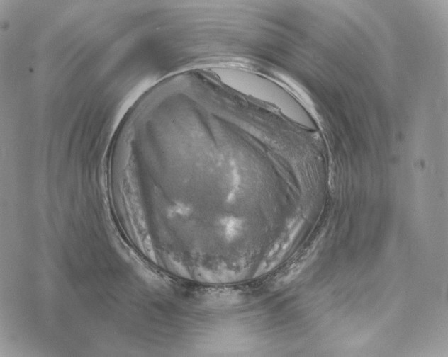 X0000072970907200608111713