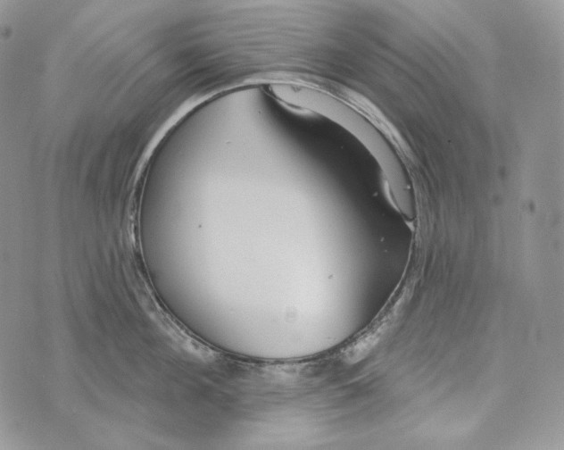 X0000072970908200608111713