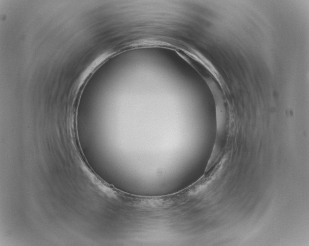 X0000072970909200608111713