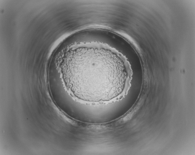 X0000072970910200608111713