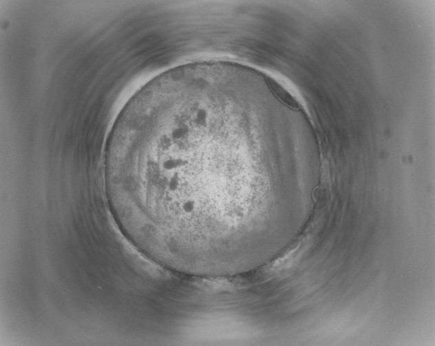 X0000072970911200608111713