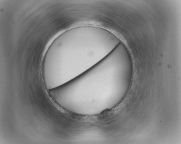 X0000072970912200608111713