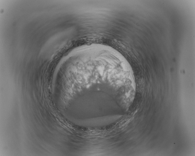 X0000072970913200608111712