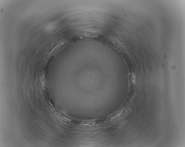 X0000072970915200608111712