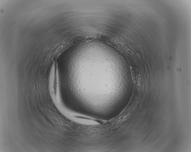 X0000072970916200608111712