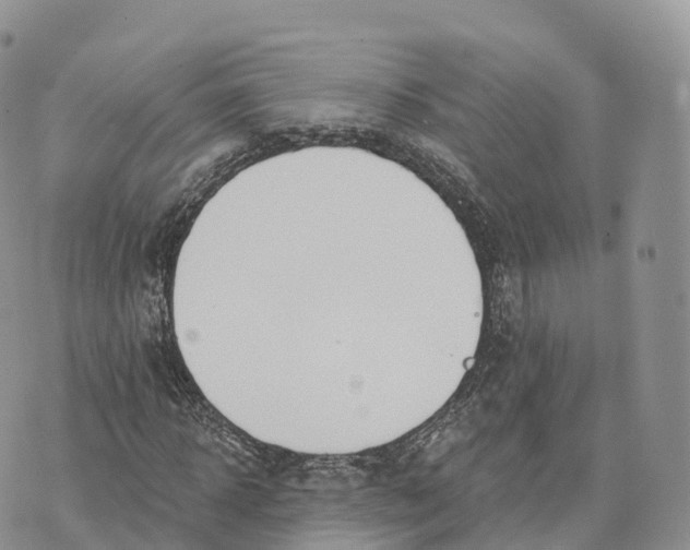 X0000072970918200608111712