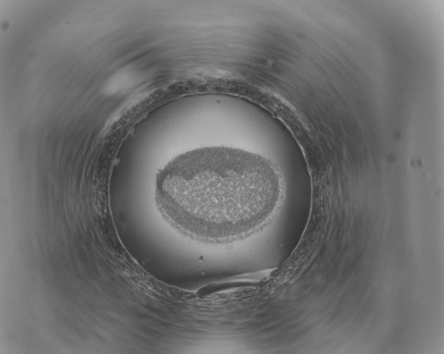 X0000072970919200608111712