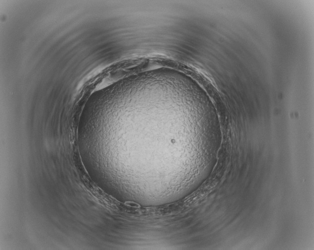 X0000072970920200608111712