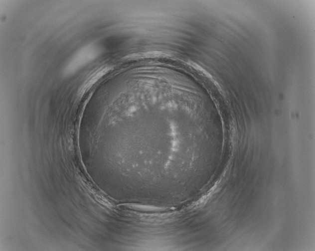 X0000072970921200608111712