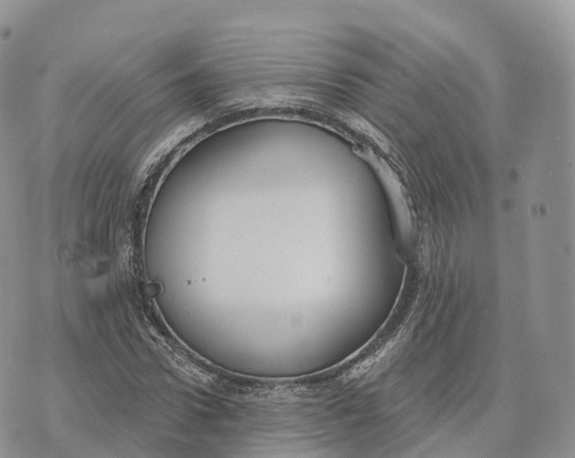 X0000072970922200608111712