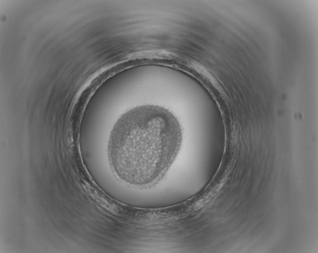 X0000072970923200608111712