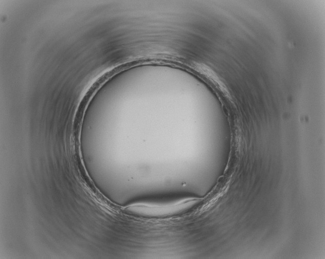 X0000072970924200608111712