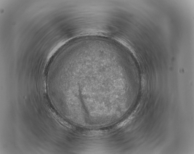 X0000072970925200608111712