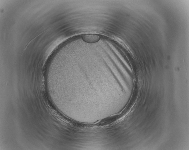 X0000072970926200608111712