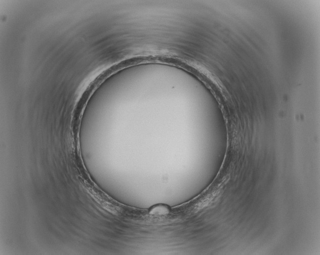 X0000072970927200608111712