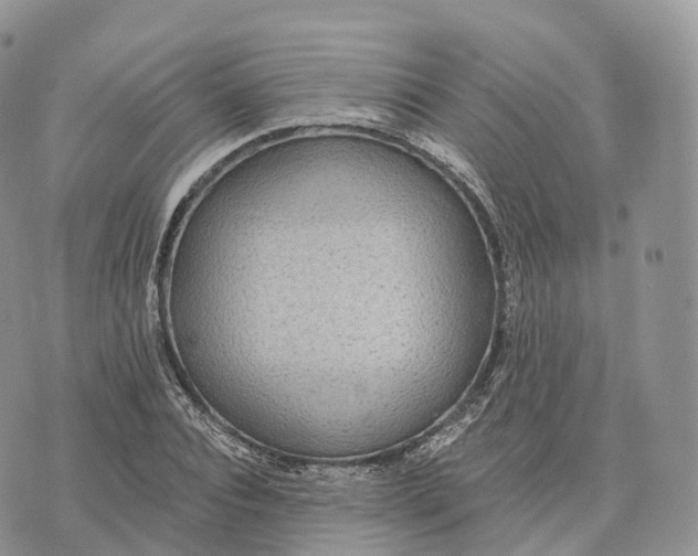 X0000072970928200608111712