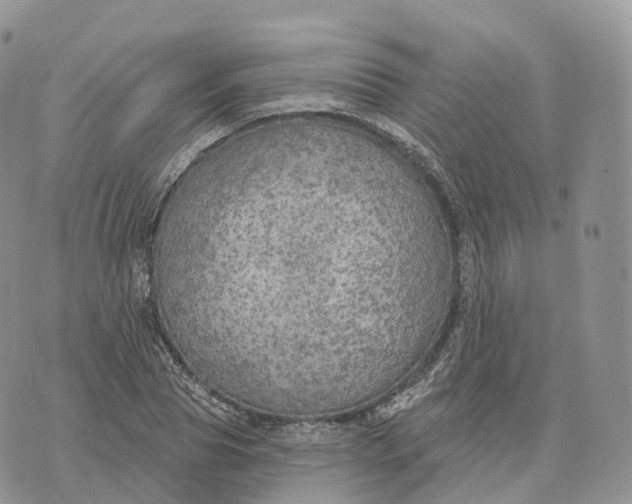 X0000072970929200608111712