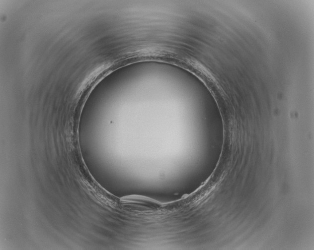 X0000072970930200608111712