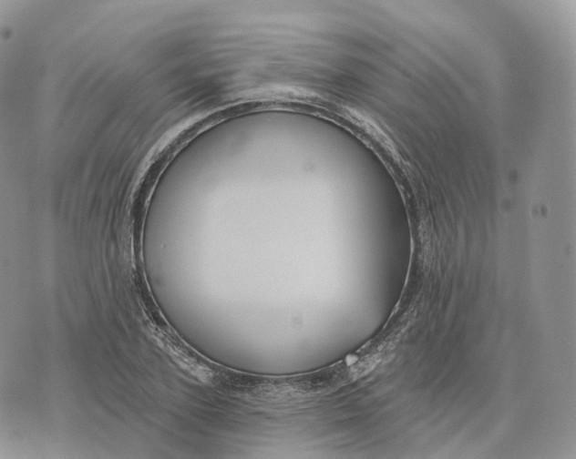 X0000072970931200608111712