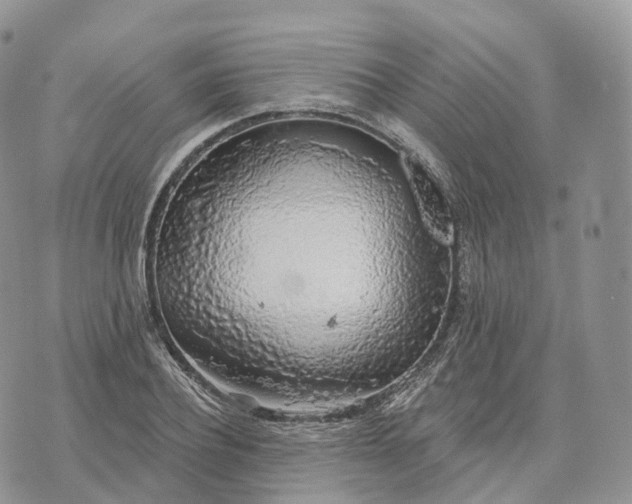 X0000072970932200608111712