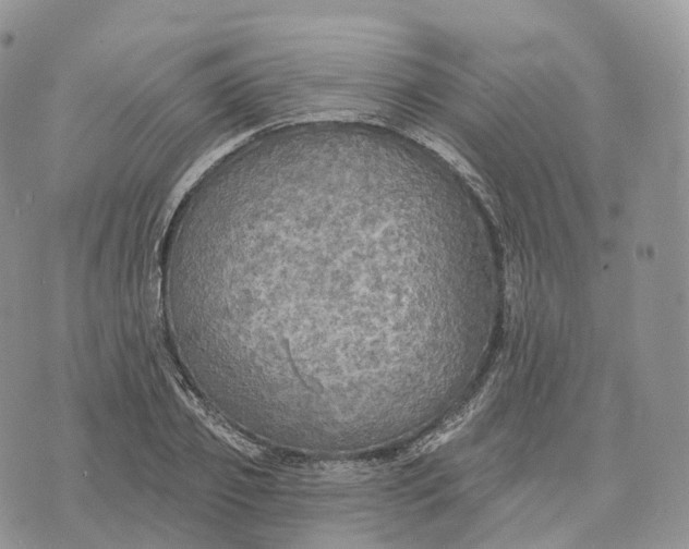 X0000072970933200608111712