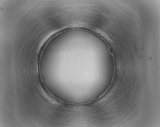 X0000072970934200608111712