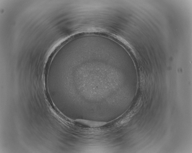 X0000072970935200608111712