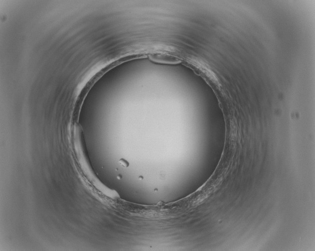 X0000072970936200608111712