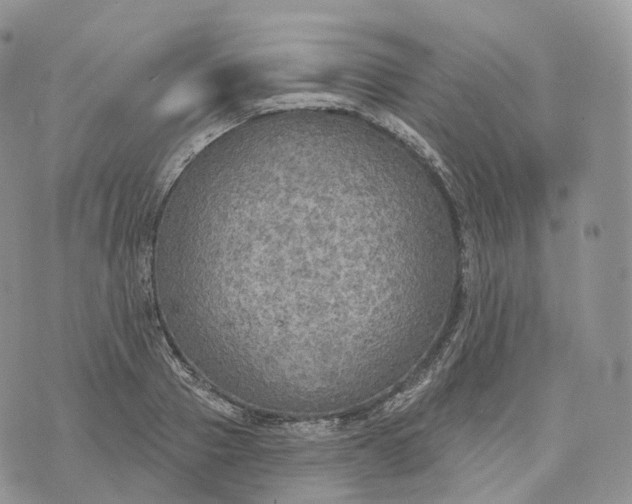 X0000072970937200608111712