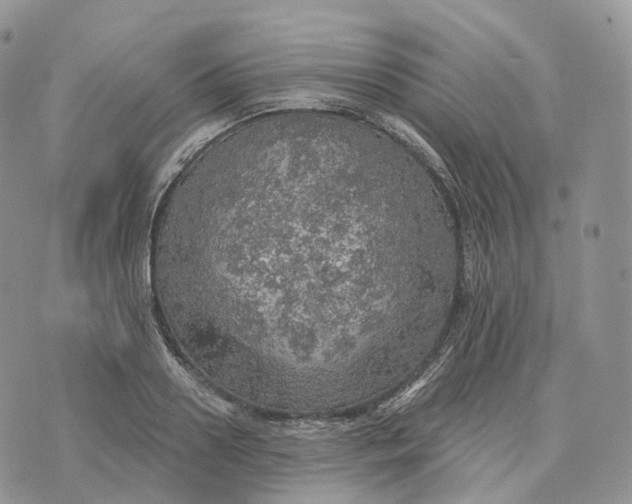 X0000072970938200608111712