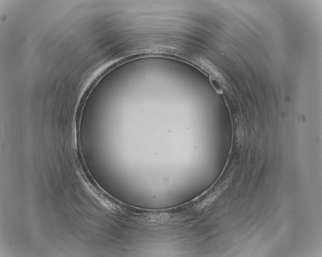 X0000072970940200608111712