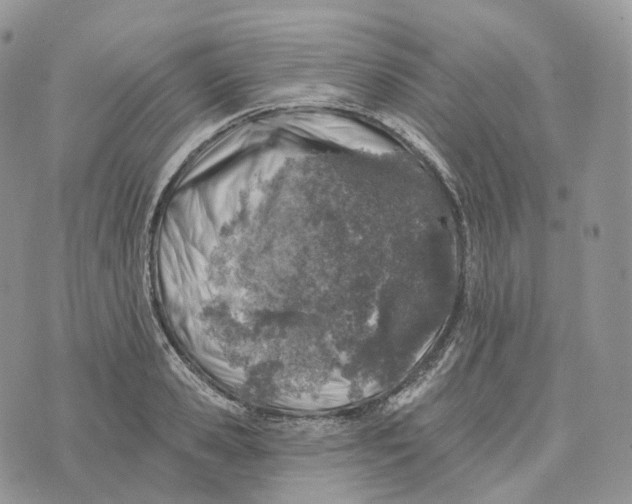 X0000072970941200608111712