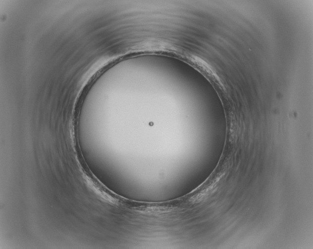 X0000072970942200608111712