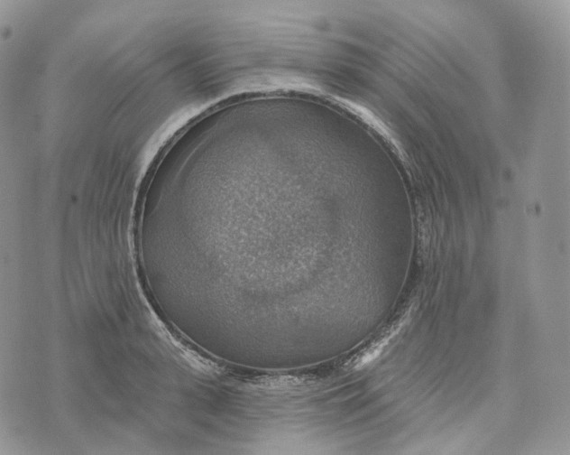 X0000072970943200608111712