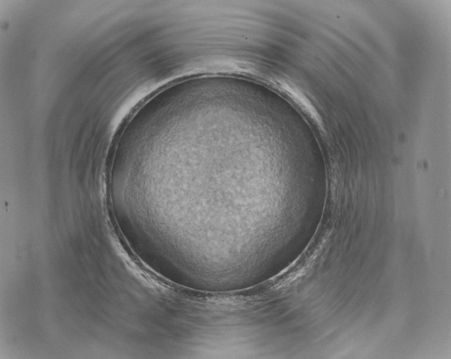 X0000072970944200608111712