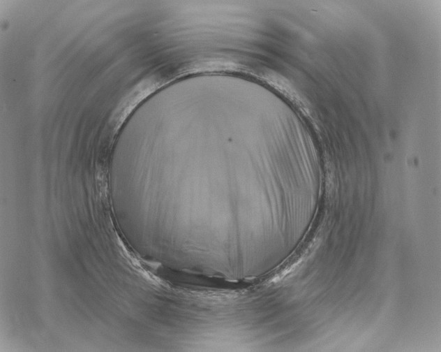 X0000072970945200608111712