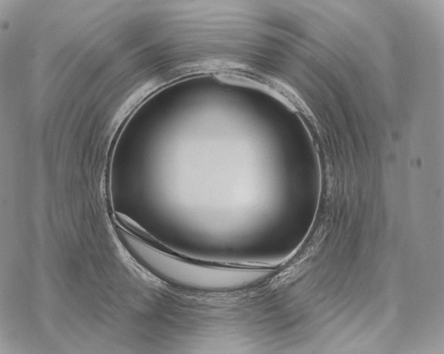 X0000072970946200608111712