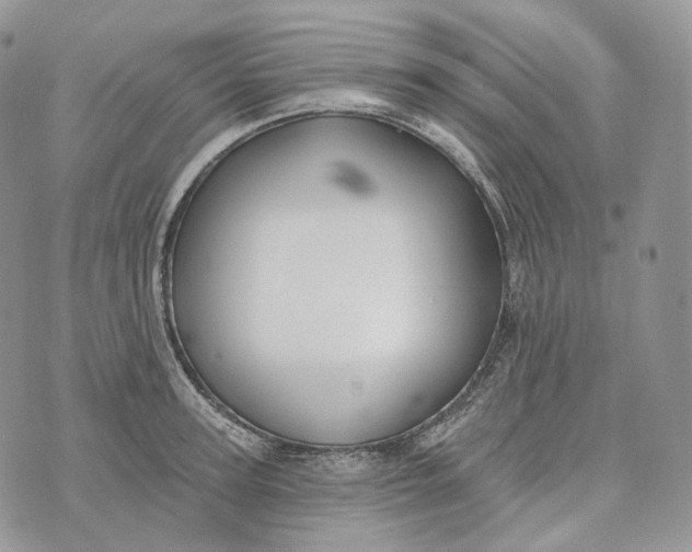 X0000072970947200608111712