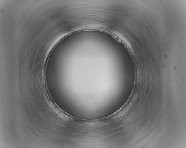 X0000072970948200608111713